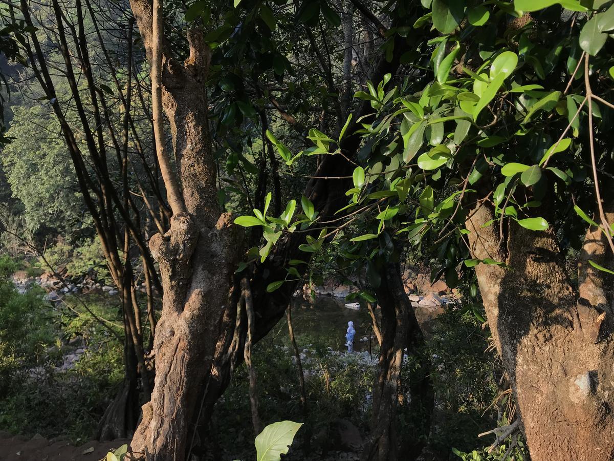 Jungle Valley Agriculture Resort Mahabaleshwar Exterior photo