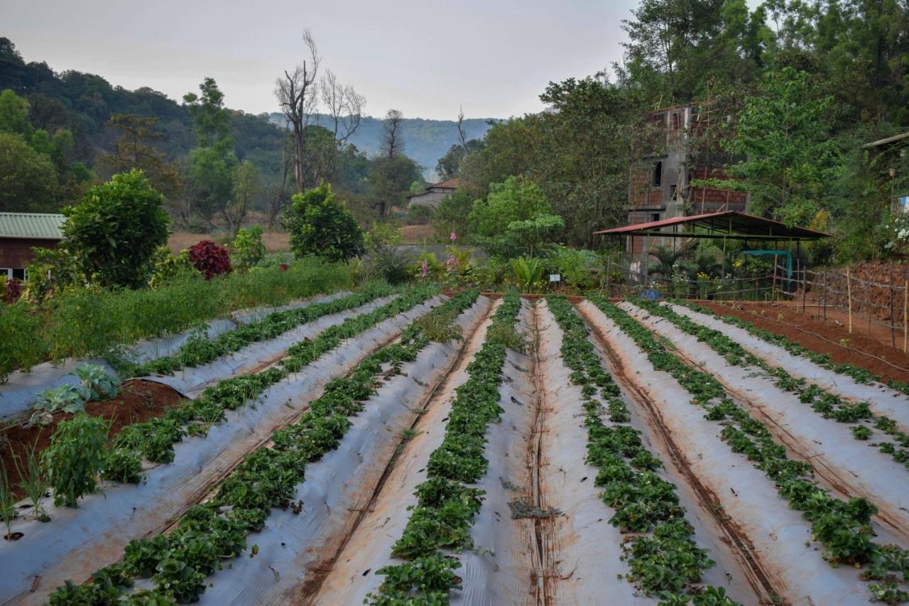 Jungle Valley Agriculture Resort Mahabaleshwar Exterior photo