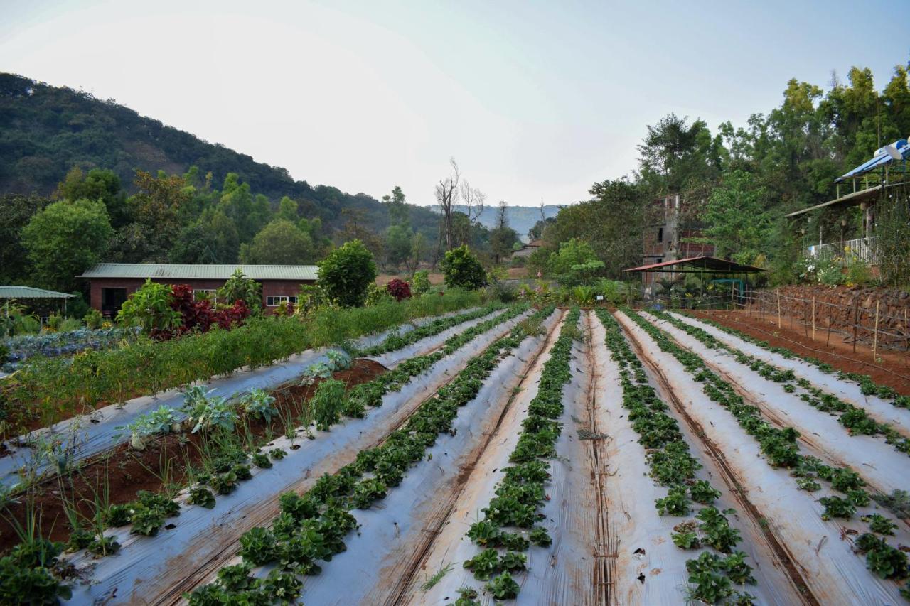 Jungle Valley Agriculture Resort Mahabaleshwar Exterior photo