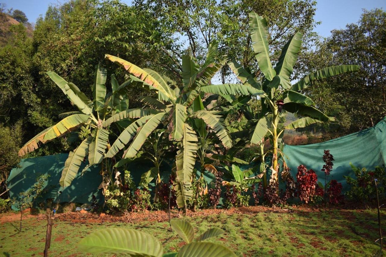 Jungle Valley Agriculture Resort Mahabaleshwar Exterior photo