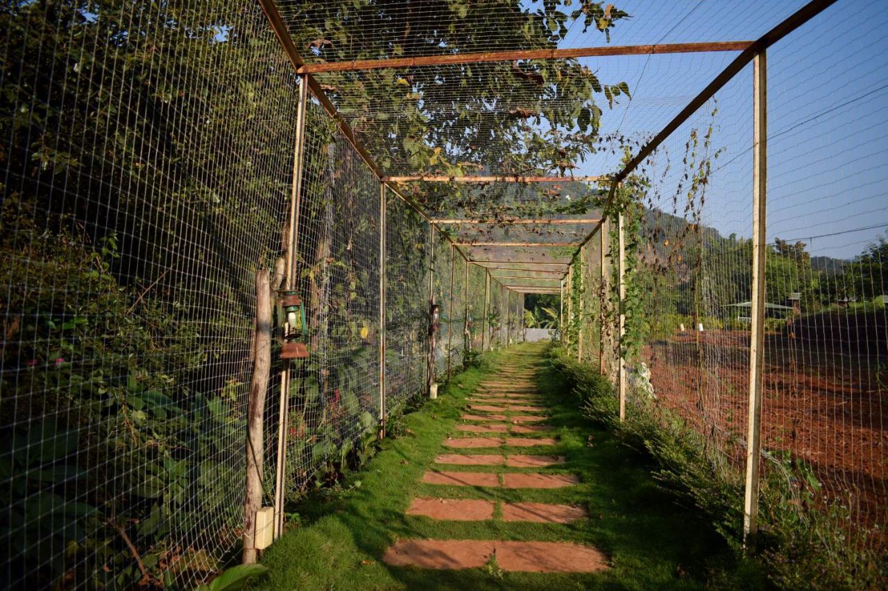 Jungle Valley Agriculture Resort Mahabaleshwar Exterior photo